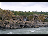 Willamette Falls Blue Heron Boat Tour 8