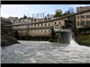 Willamette Falls Blue Heron Boat Tour 15