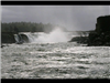 Willamette Falls Blue Heron Boat Tour 19