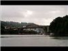 Willamette Falls Blue Heron Boat Tour 32