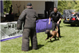 K-9 Police Practice 7