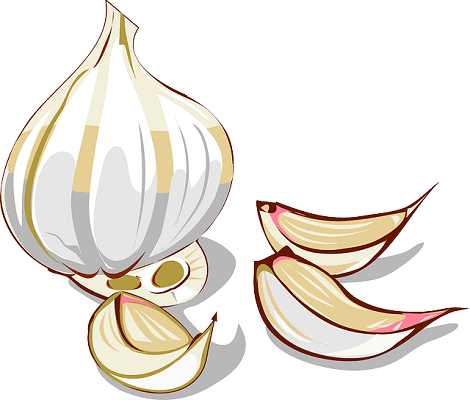 garlic bulb