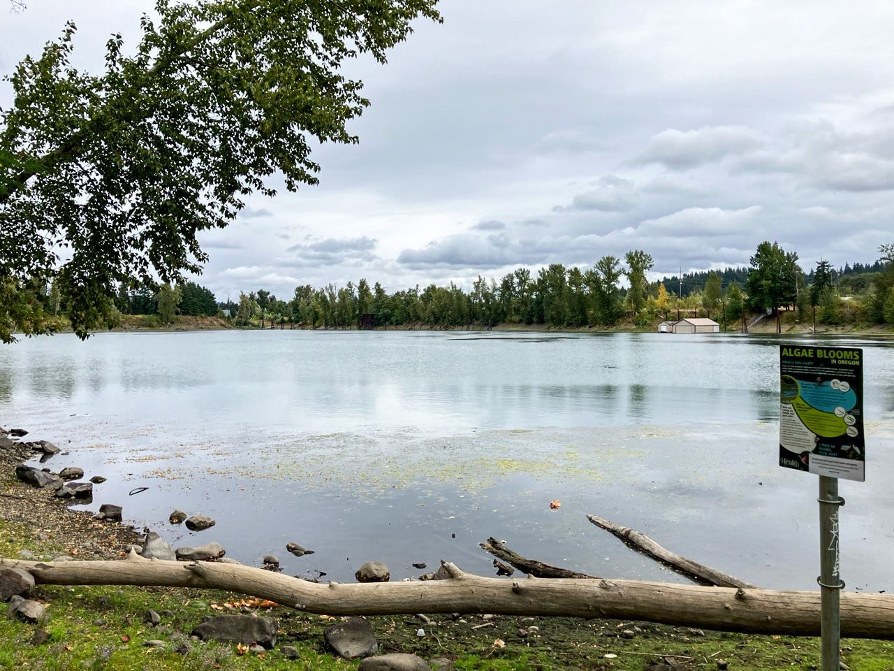 Clackamette cove cloudy algae day